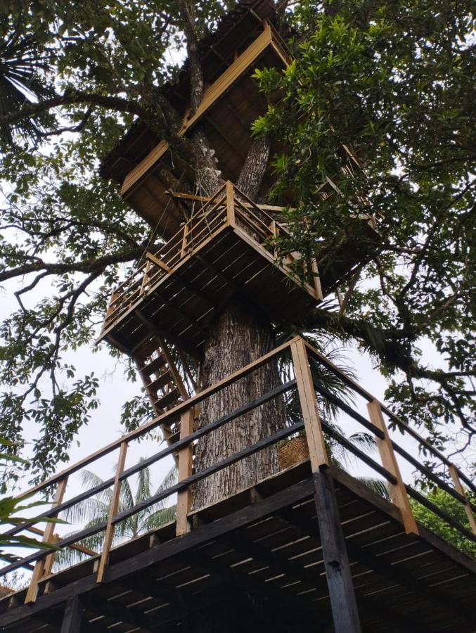 Biohotel Arara River Leticia Exterior foto