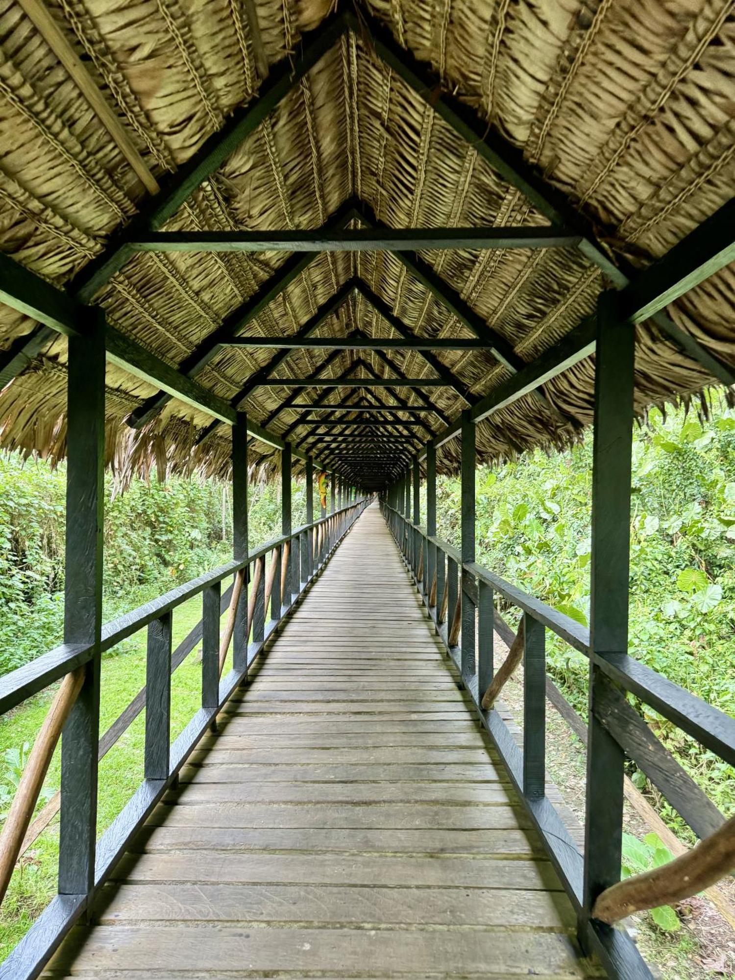 Biohotel Arara River Leticia Exterior foto